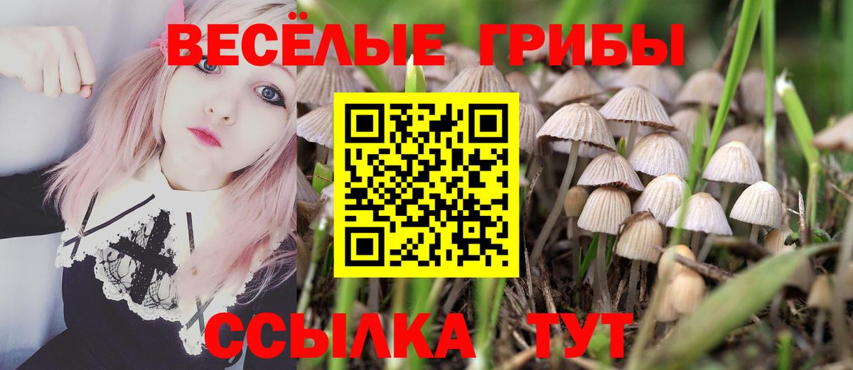 Ленинск-Кузнецкий  Псилоцибиновые грибы Cubensis  Галлюциногенные грибы мухоморы  Вход с VPN 